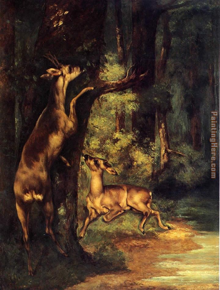 Male and Female Deer in the Woods painting - Gustave Courbet Male and Female Deer in the Woods art painting